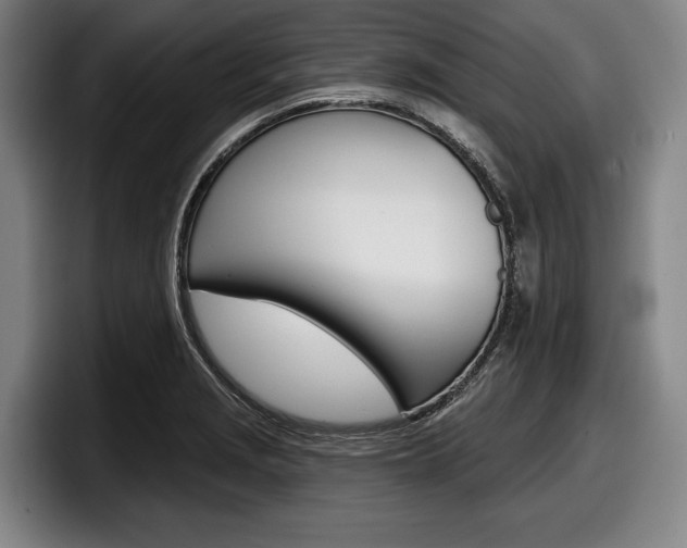 X0000098151229200804171150