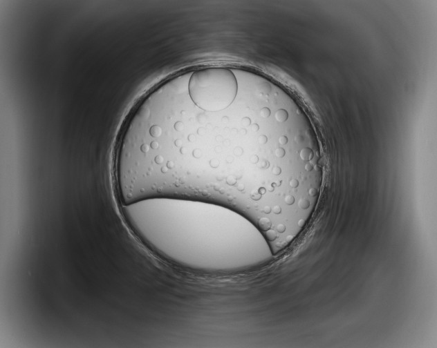 X0000098151231200804171150