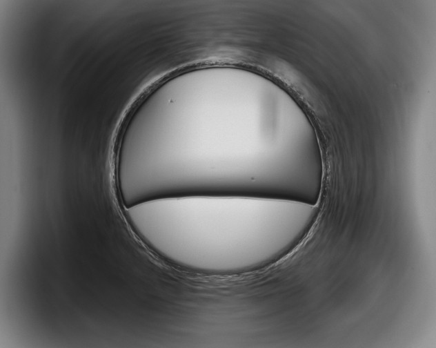 X0000098151232200804171150