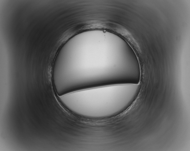 X0000098151233200804171150