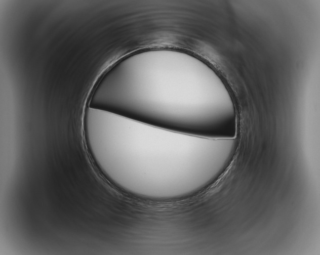 X0000098151234200804171150