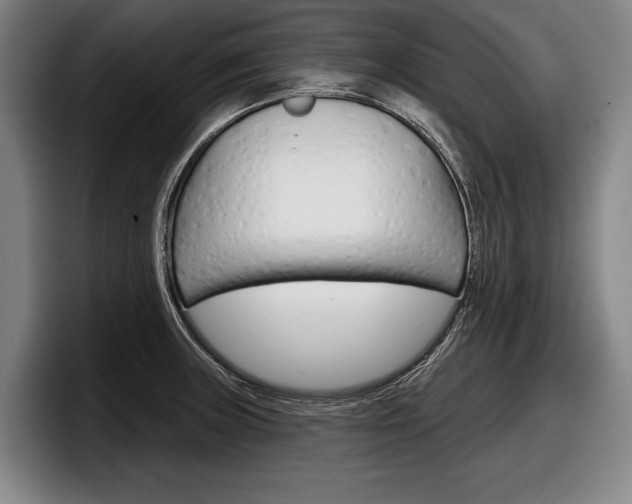 X0000098151235200804171150