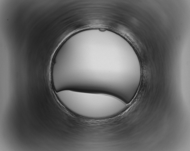 X0000098151236200804171150