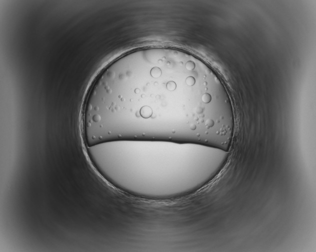 X0000098151239200804171150