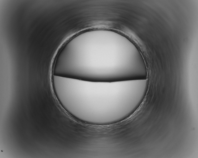 X0000098151240200804171150
