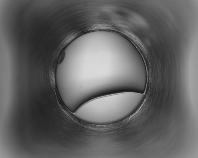 X0000098151241200804171150