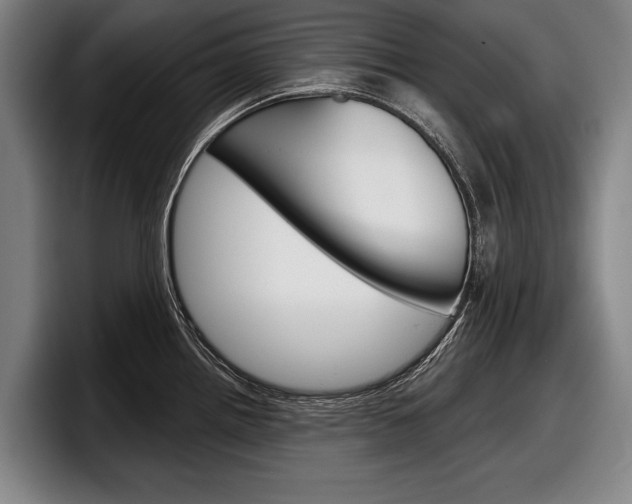 X0000098151242200804171150