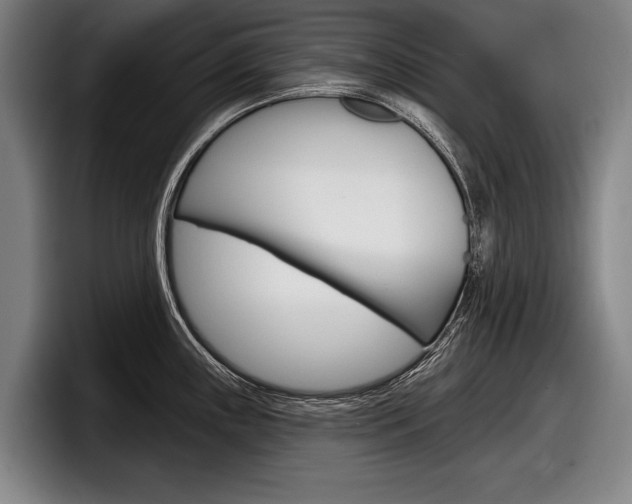X0000098151243200804171150