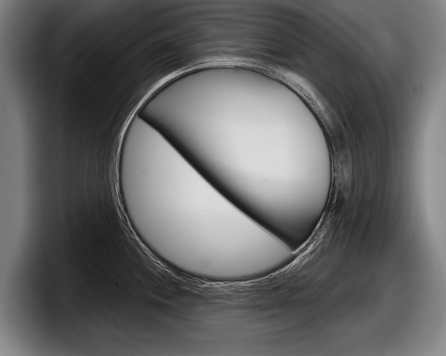 X0000098151244200804171150