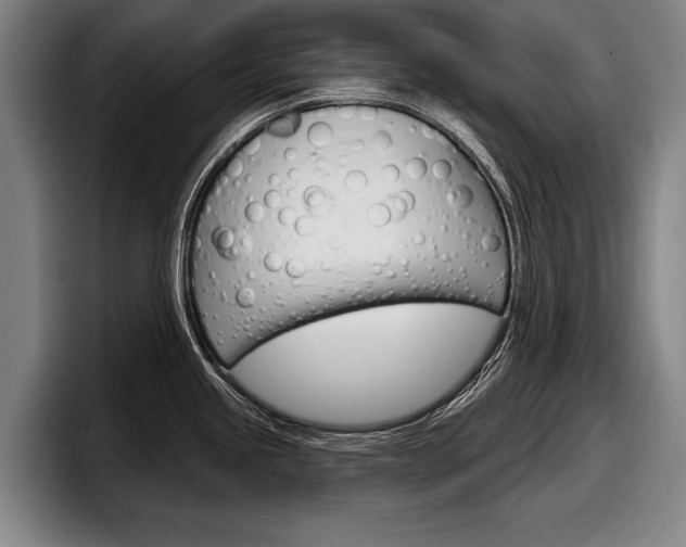 X0000098151245200804171150
