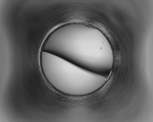 X0000098151246200804171150