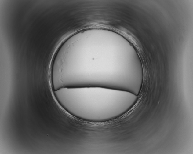 X0000098151247200804171150