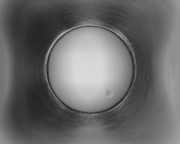 X0000098151248200804171150