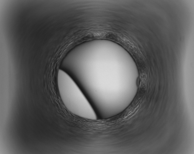 X0000098151249200804171149