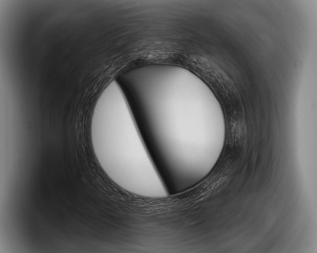 X0000098151250200804171149