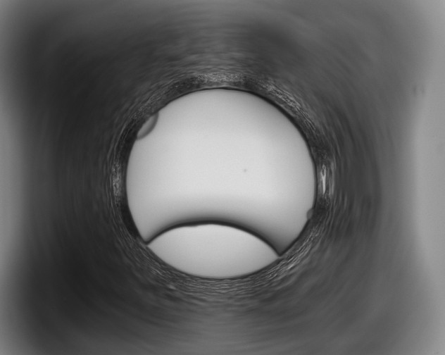 X0000098151251200804171149