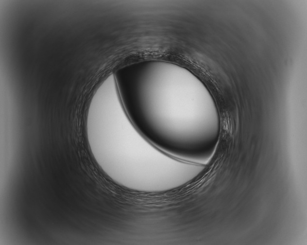 X0000098151252200804171149