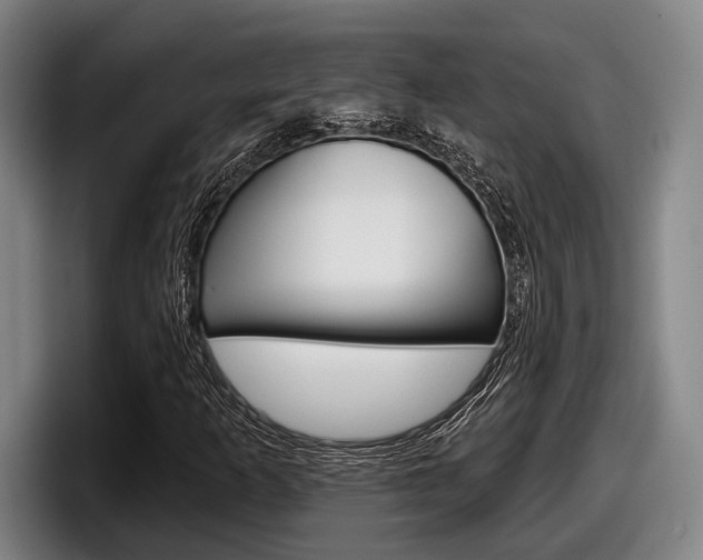 X0000098151253200804171149