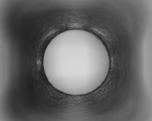 X0000098151254200804171149