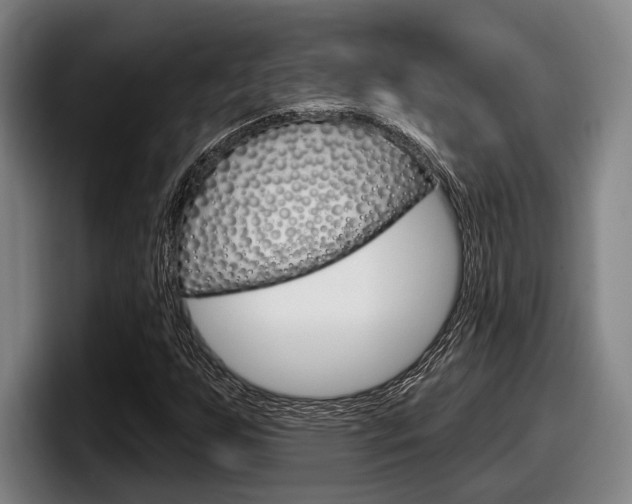 X0000098151255200804171149