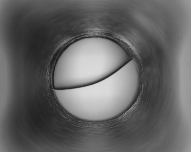 X0000098151259200804171149