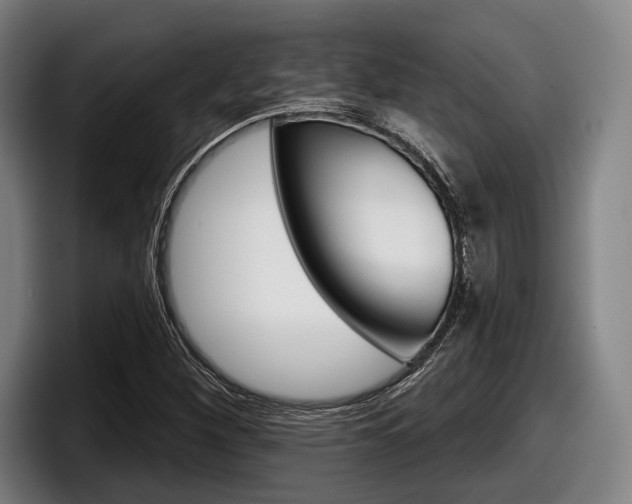 X0000098151260200804171149