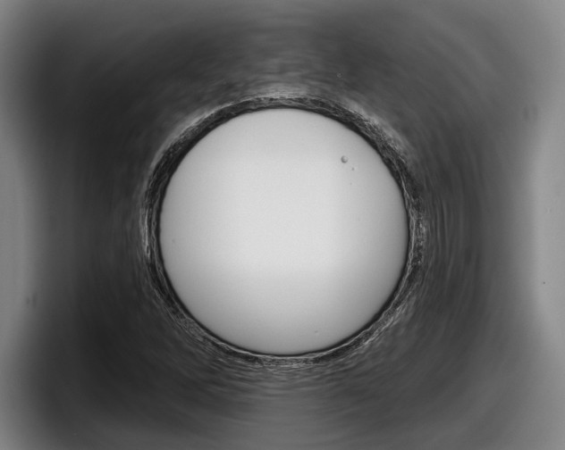 X0000098151262200804171149