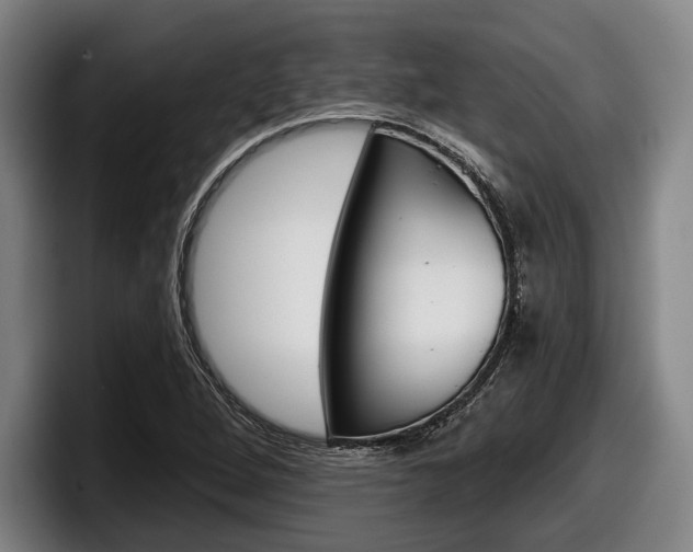 X0000098151264200804171149
