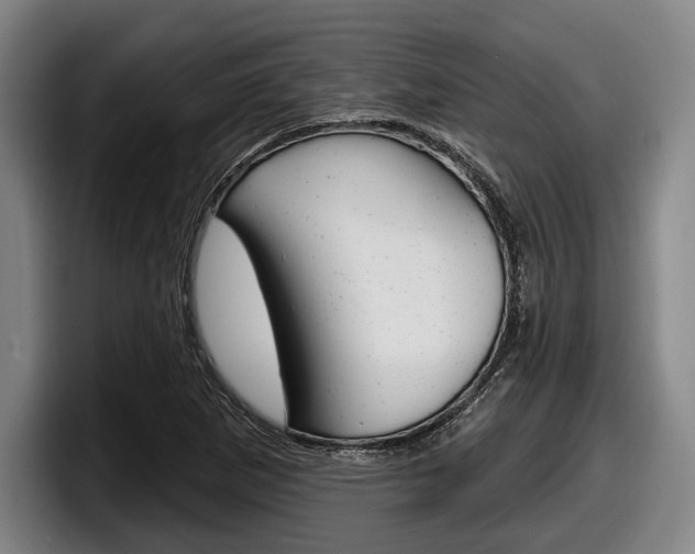 X0000098151265200804171149