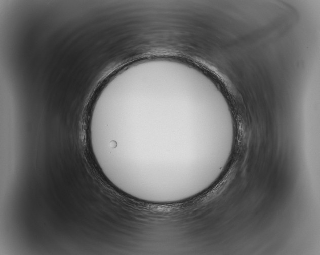 X0000098151266200804171149