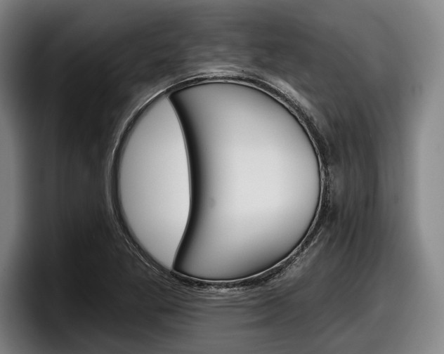 X0000098151269200804171149