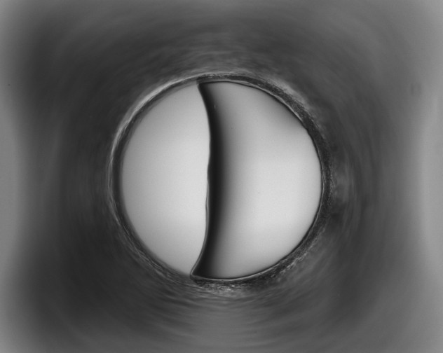 X0000098151270200804171149