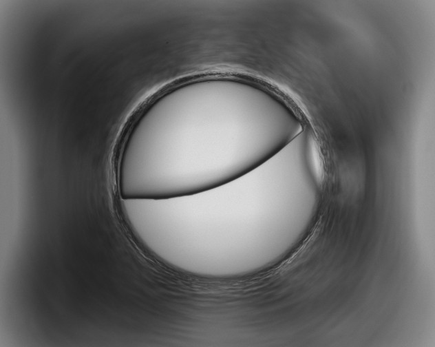 X0000098151271200804171149