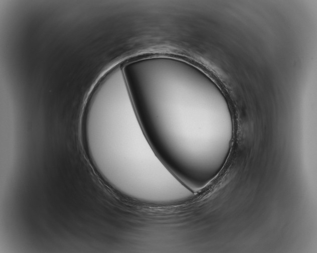 X0000098151272200804171149