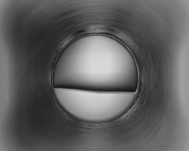 X0000098151273200804171149