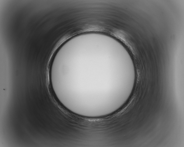 X0000098151274200804171149