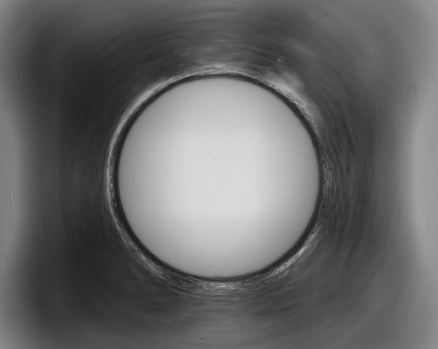 X0000098151278200804171149