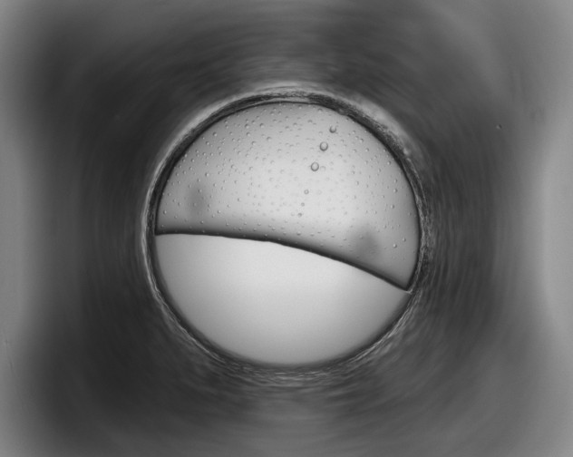 X0000098151279200804171149