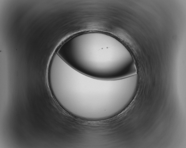 X0000098151280200804171149