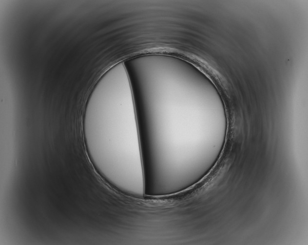 X0000098151281200804171149