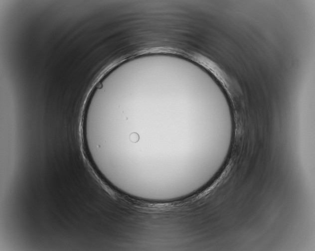 X0000098151282200804171149