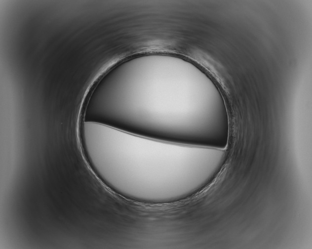 X0000098151285200804171149