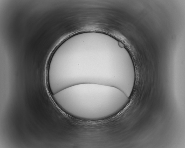 X0000098151286200804171149