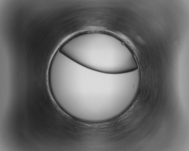X0000098151287200804171149