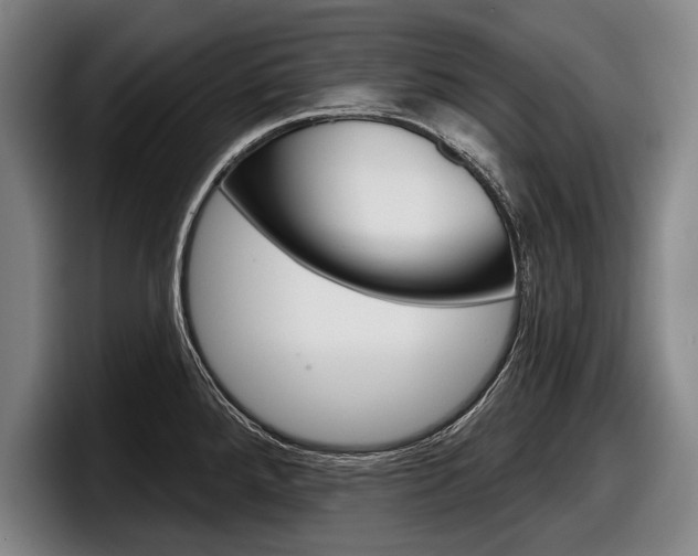 X0000098151288200804171149
