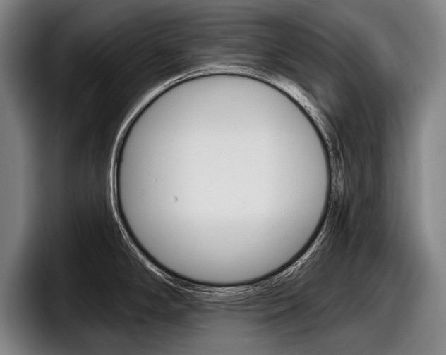X0000098151294200804171149