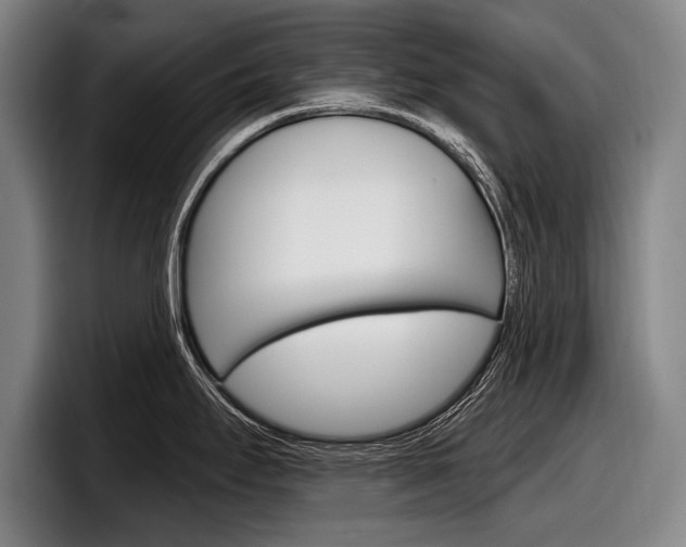 X0000098151295200804171149