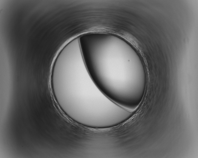 X0000098151296200804171149
