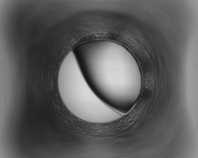 X0000098151298200804171148