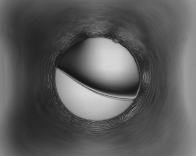 X0000098151300200804171148
